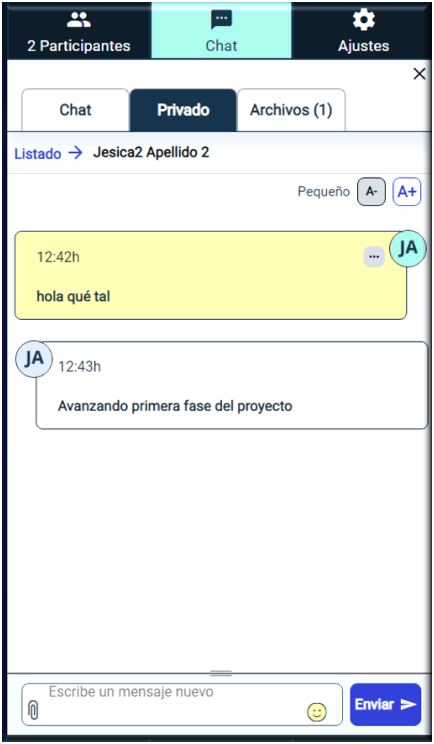 Vista del chat privado